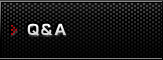 Q&A